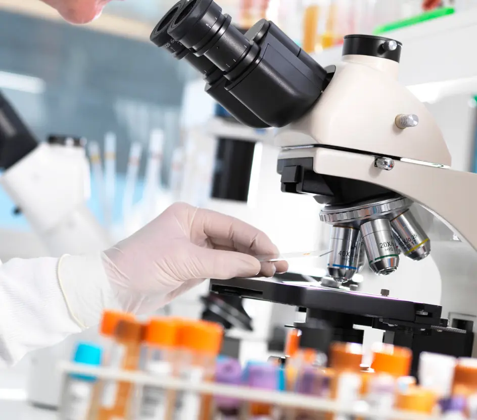 Research lipedema
